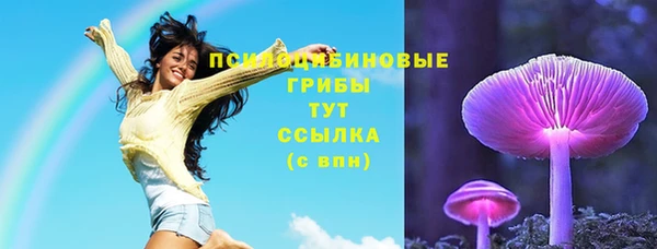 прущая мука Алзамай