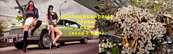 прущая мука Алзамай