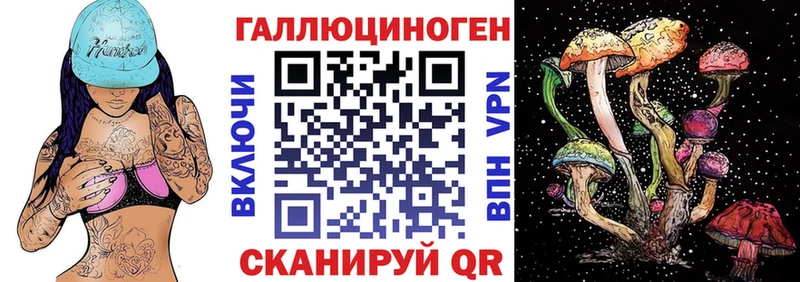 Галлюциногенные грибы Cubensis  площадка состав  Рубцовск 