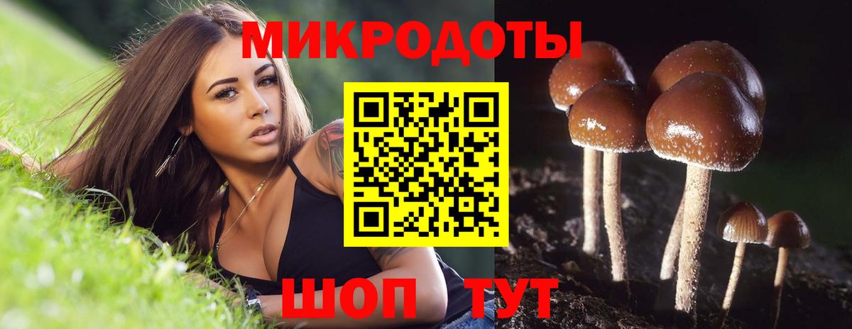 Галлюциногенные грибы GOLDEN TEACHER Рубцовск